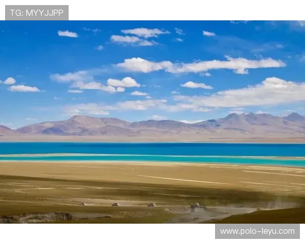 《他是绿茵场上的王者，她是他心中最柔软的秘密，足球与爱情的完美交织》