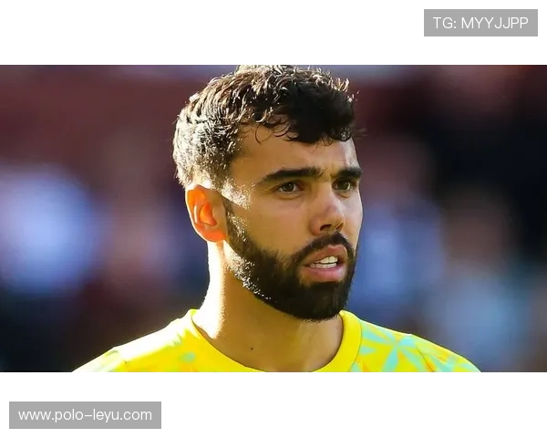 西班牙足球队球星实力排名及历史贡献分析