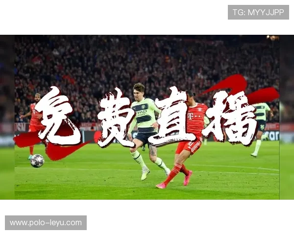 足球球星泰迪熊的传奇之路与他在绿茵场上的辉煌时刻